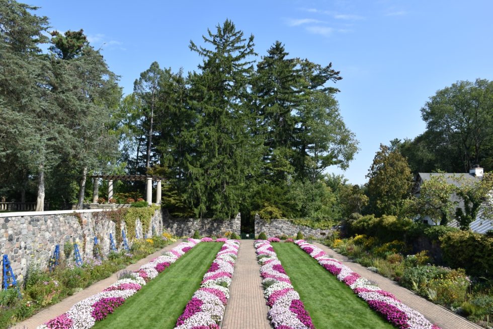 Discovering Bloomfield Hills A Guide to Its Unique Attractions